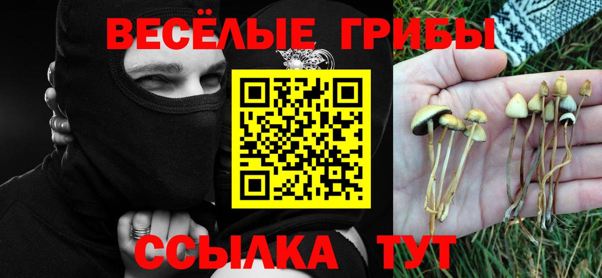 Псилоцибиновые грибы Magic Shrooms Мегион