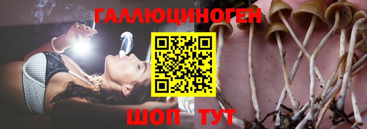 Галлюциногенные грибы MAGIC MUSHROOMS  Вход с VPN  Псилоцибиновые грибы GOLDEN TEACHER  Мегион 